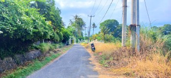 Dijual Tanah 3250 m2 Di Keramas Dkt Komaneka Dan Pantai