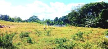 Dijual Tanah 4,5 Hektar Jl Ida Bagus Mantra Ketewel Gianyar Bali