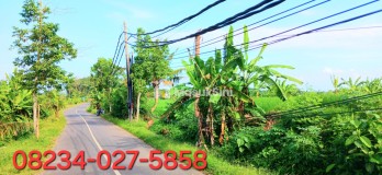 Dijual Tanah View Laut 5340 m2 Jl Pantai Purnama Sukawati Gianyar Bali