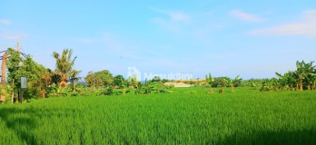 Dijual Tanah View Laut 5340 m2 Jl Pantai Purnama Sukawati Gianyar Bali