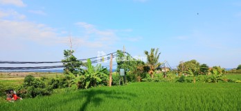 Dijual Tanah View Laut 5340 m2 Jl Pantai Purnama Sukawati Gianyar Bali