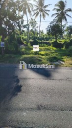 Dikontrakkan Min 5 Tahun Tanah 6 Are Hadap Barat Rangdu Seririt Buleleng Ba