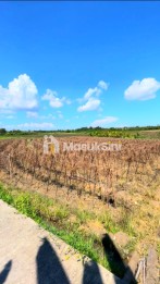 Disewakan Tanah 45 Are Di Tibu Biyu Tabanan Dkt Pantai Pasut