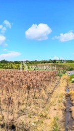 Disewakan Tanah 45 Are Di Tibu Biyu Tabanan Dkt Pantai Pasut