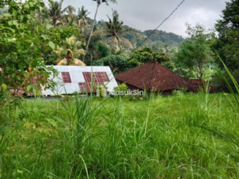 Inves Tanah Murah 5,5 Are Harga 200 Juta Nego Seririt Buleleng