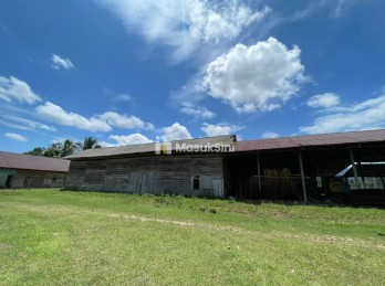 Jual Pabrik dan Kebun Kelapa Sawit Desa Karossa Mamuju Tengah