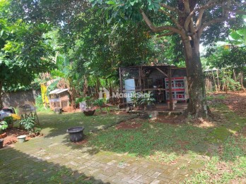 Jual Tanah Siap Pakai di Jalan Madrasah, Pangkalan Jati, Depok
