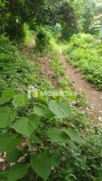 Jual Tanah Strategis Desa Sangsit Sawan Buleleng Seluas 26229m2