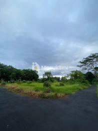 Peluang Investasi Tanah 3750m2 Panglan Kapal
