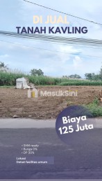 Tanah di pinggir Jalan Malang