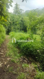 RUMAH BONUS TANAH LUAS DAN STRATEGIS DI SULFAT