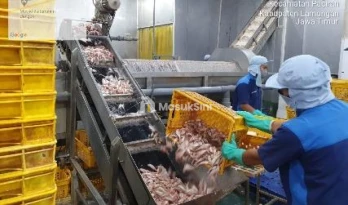 Dijual Pabrik Lengkap di Raya Deandels, Lamongan