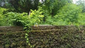 Dijual Tanah 1350m2 Siligita Benoa Kuta Selatan