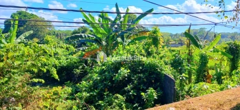 Dijual Tanah 1415 m2 Jl Ida Bagus Mantra Lebih Gianyar Bali