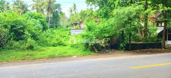 Dijual Tanah 17 Are Jl Antiga Manggis - Padangbai Karangasem Bali