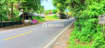 Dijual Tanah 17 Are Jl Antiga Manggis - Padangbai Karangasem Bali