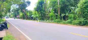 Dijual Tanah 17 Are Jl Antiga Manggis - Padangbai Karangasem Bali