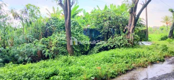 Dijual Tanah 2484 m2 Jl Ida Bagus Mantra Dawan Klungkung Bali
