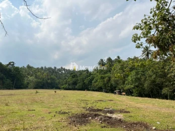 Dijual Tanah 5 Are Lalanglinggah Selemadeg Barat Tabanan