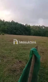 Dijual Tanah 5 Are Lalanglinggah Selemadeg Barat Tabanan