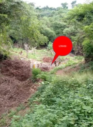 Dijual Tanah Kebun Tegal 179 Are Sawan Buleleng