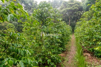 Dijual Tanah Strategis 5.355 m² di Dekat Lido City, Bogor