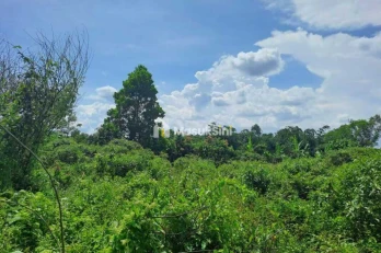 Dijual Tanah Strategis 5.355 m² di Dekat Lido City, Bogor