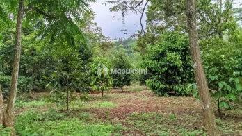 Dijual Tanah Strategis 5.355 m² di Dekat Lido City, Bogor