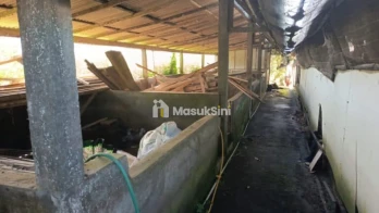 Dijual Tanah Tempat Usaha Kandang Babi Kebun 23 Are Penebel Tabanan