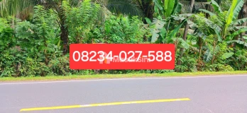 Disewakan Tanah 1500 m2 Jl Padangbai Antiga Manggis Karangasem Bali