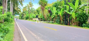 Disewakan Tanah 1500 m2 Jl Padangbai Antiga Manggis Karangasem Bali