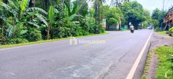Disewakan Tanah 1500 m2 Jl Padangbai Antiga Manggis Karangasem Bali