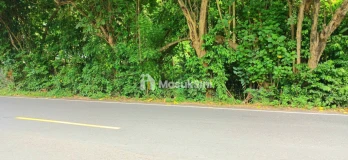 Disewakan Tanah 5000 M2 Jl Raya Pengalon - Padangbai Manggis Karangasem Bal