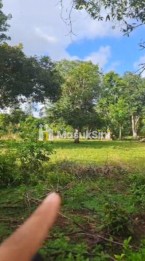 Investasi Tanah 1660m2 Pantai Balangan Jimbaran