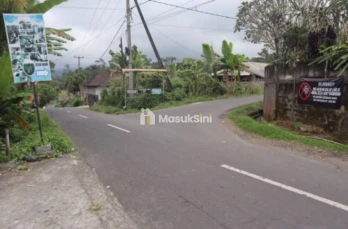 Investasi Tanah 50 Are Munduk Lumbang Baturiti