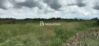 Jual Cepat Tanah Produktif 42 Are Selemadeg Timur