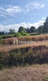 Jual Cepat Tanah Produktif 42 Are Selemadeg Timur Tabanan