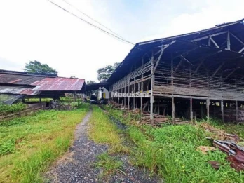Jual Gudang dan Kandang Babi di Jalan Pertanian Kota Singkawang