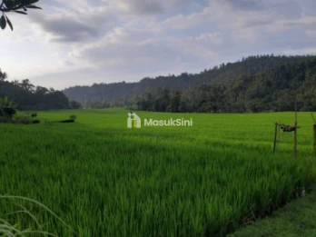 Jual Tanah 120 Are Pinggir Jalan Provinsi