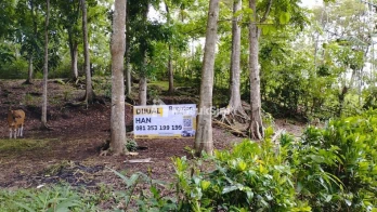 Jual Tanah 36440m2 Baler Bale Agung Negara Jembrana