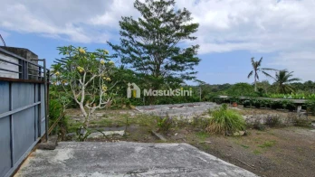Jual Tanah 4120m2 Eks Kandang Babi Selemadeg Timur Tabanan