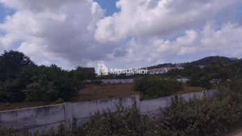 Jual Tanah 7420m2 Jimbaran Dekat Damara Village Perum Gading Kencana