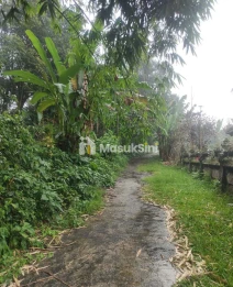 Jual Tanah Datar Hadap Timur 2325m2 Penebel