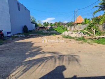 Jual Tanah Murah 4 Are Sekar Sari Kertalangu Dentim