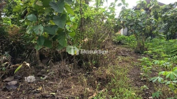 Jual Tanah Murah Luas 11 Are Jadi Babakan Banjaranyar Kediri Tabanan