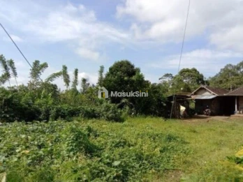 Jual Tanah Perkebunan Kopi Produktif 6,4 Ha Pupuan Tabanan