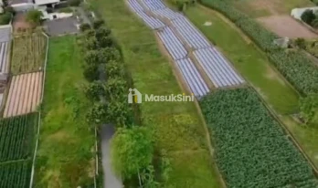 Jual Tanah Pinggir Pantai 460 Are Ketewel Gianyar