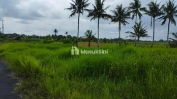 Jual Tanah Sawah 19 Are Angantaka Abiansemal