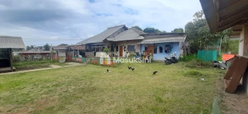 Kebun Alpukat Lengkap Dengan Kandang Sapi Domba dan Green House Di Lembang