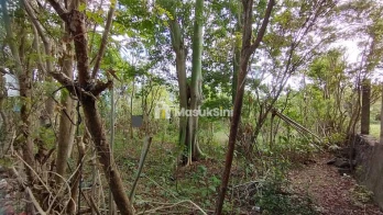 Kontrak Jangka Panjang Min 10 Tahun Tanah Hadap Utara 8 Are Jalan Jepun Jim